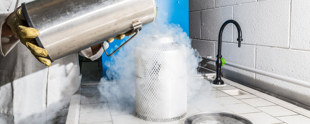 thermal property of parylene C thermal property of parylene C